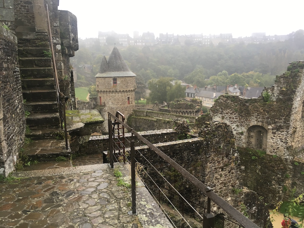 Fougères IMG_8070